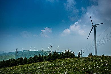 《方舟生存进化》次世代版本支持跨平台模组，无畏龙概念图公开